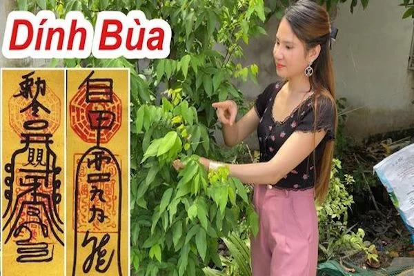 10+ dấu hiệu bị bỏ bùa nghe lời chuẩn xác nhất